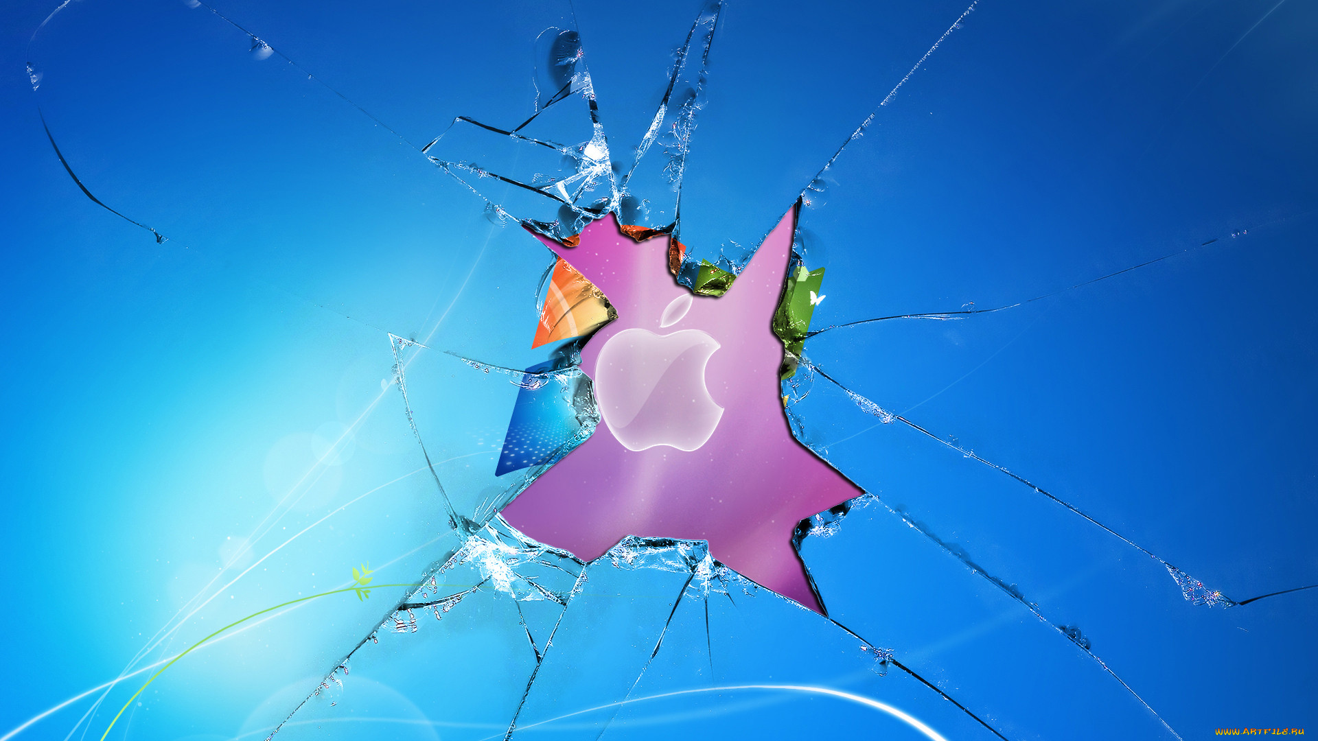, apple, 